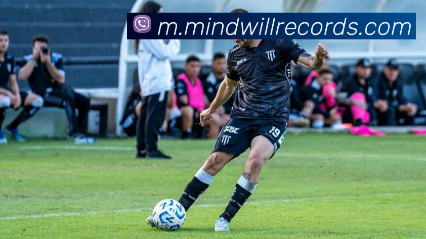 平台展示图